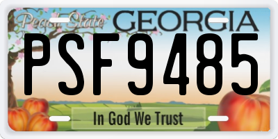 GA license plate PSF9485