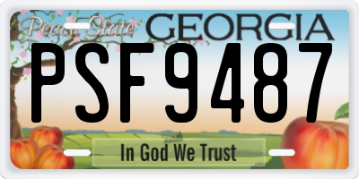 GA license plate PSF9487