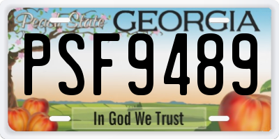 GA license plate PSF9489