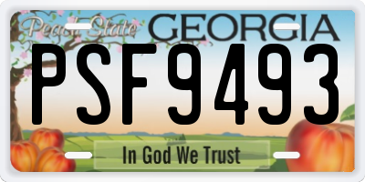 GA license plate PSF9493