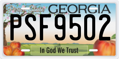 GA license plate PSF9502