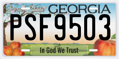 GA license plate PSF9503