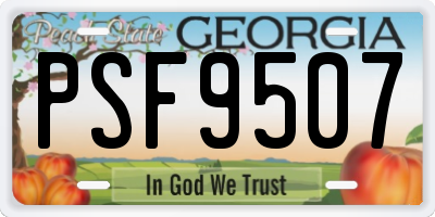GA license plate PSF9507