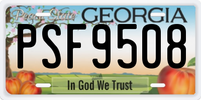 GA license plate PSF9508