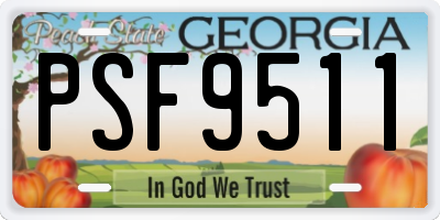 GA license plate PSF9511
