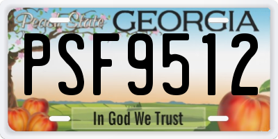 GA license plate PSF9512