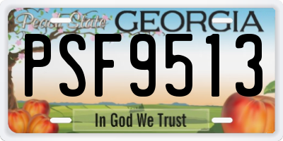 GA license plate PSF9513