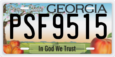GA license plate PSF9515
