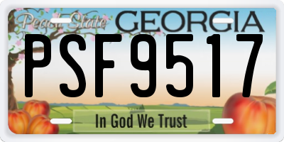 GA license plate PSF9517