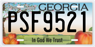 GA license plate PSF9521