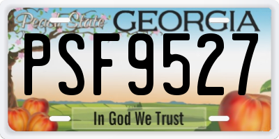 GA license plate PSF9527