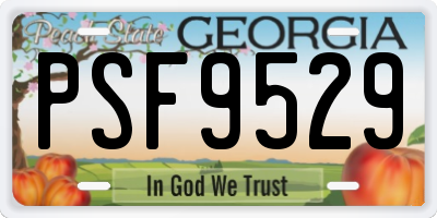 GA license plate PSF9529