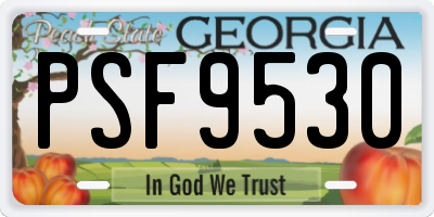GA license plate PSF9530