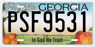 GA license plate PSF9531