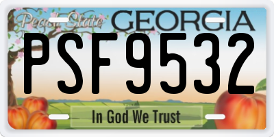 GA license plate PSF9532