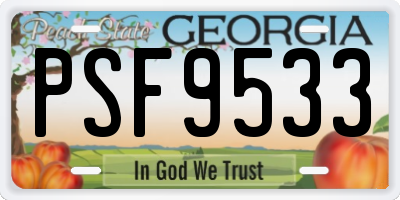GA license plate PSF9533
