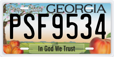 GA license plate PSF9534