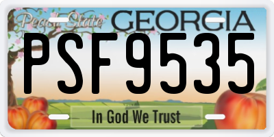GA license plate PSF9535