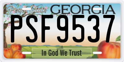 GA license plate PSF9537