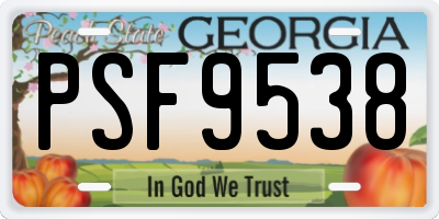 GA license plate PSF9538
