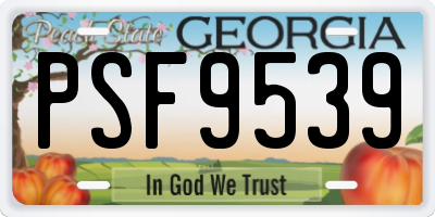 GA license plate PSF9539
