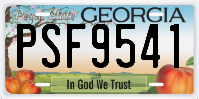 GA license plate PSF9541