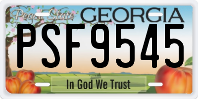 GA license plate PSF9545