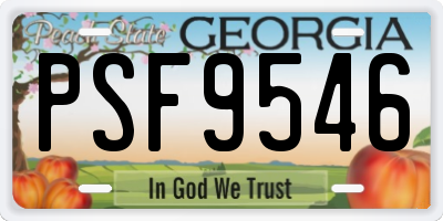 GA license plate PSF9546