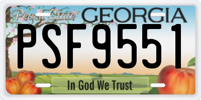 GA license plate PSF9551