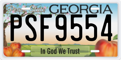 GA license plate PSF9554