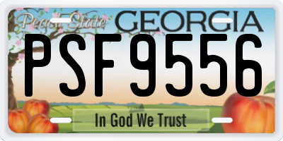 GA license plate PSF9556
