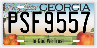 GA license plate PSF9557