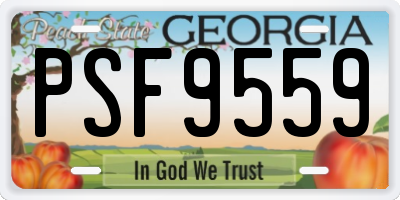GA license plate PSF9559