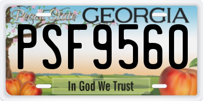 GA license plate PSF9560