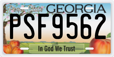 GA license plate PSF9562