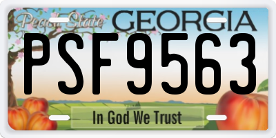 GA license plate PSF9563