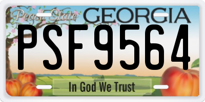 GA license plate PSF9564