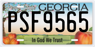 GA license plate PSF9565