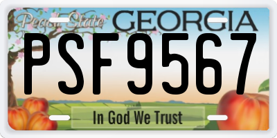 GA license plate PSF9567