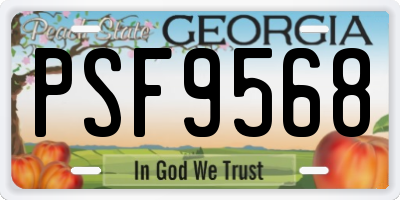 GA license plate PSF9568