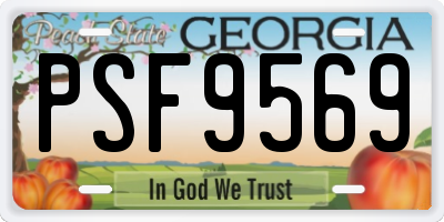 GA license plate PSF9569