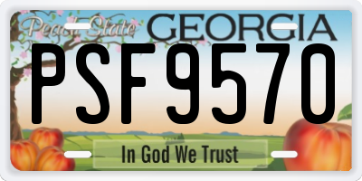GA license plate PSF9570