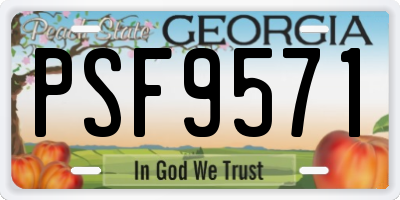GA license plate PSF9571