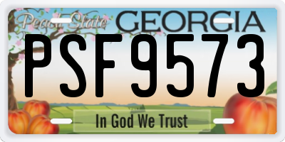 GA license plate PSF9573