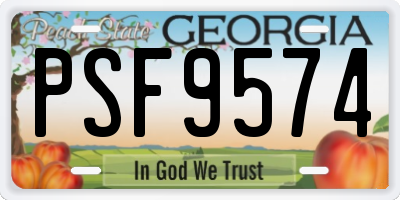 GA license plate PSF9574