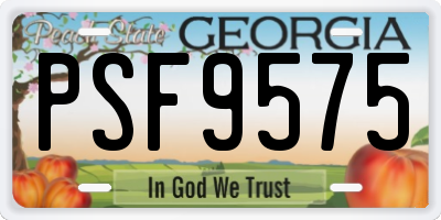 GA license plate PSF9575