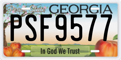 GA license plate PSF9577