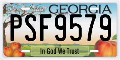 GA license plate PSF9579