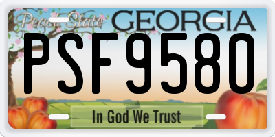 GA license plate PSF9580