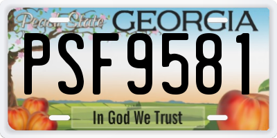 GA license plate PSF9581